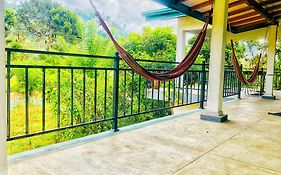 Ella Peace Heaven